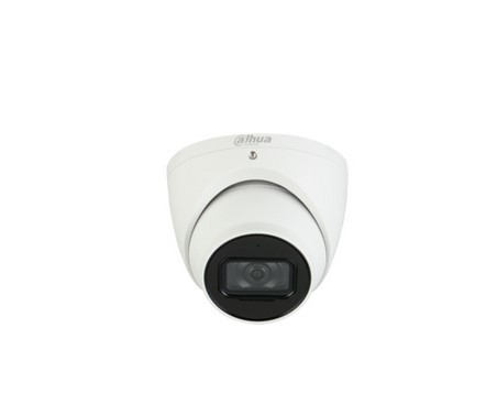 Dahua Technology Pro IPC-HDW5241TM Dome IP security camera Indoor & outdoor