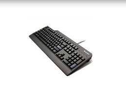 Lenovo 4X30E51014 keyboard Universal USB QWERTZ German Black