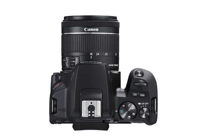 Canon Rebel SL3 + EF-S 18-55mm IS STM – image 8