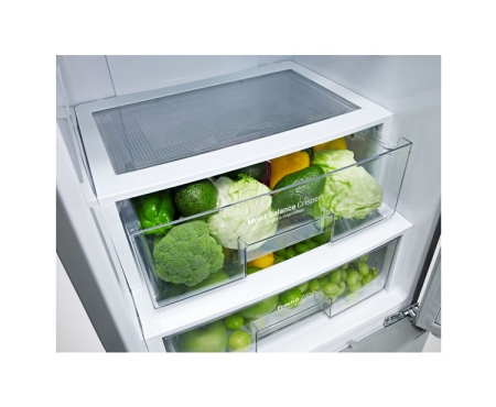 LG GBB530NSQFS fridge-freezer Freestanding Stainless steel – image 4