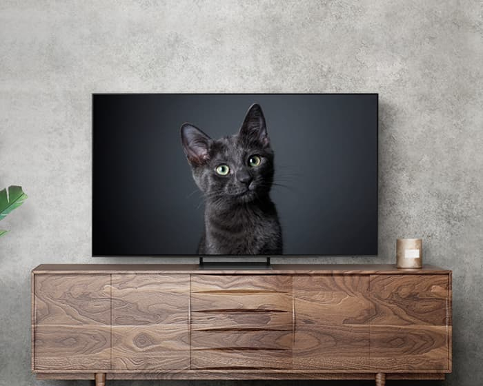 Samsung S90C QE65S90CATXXN TV – image 7