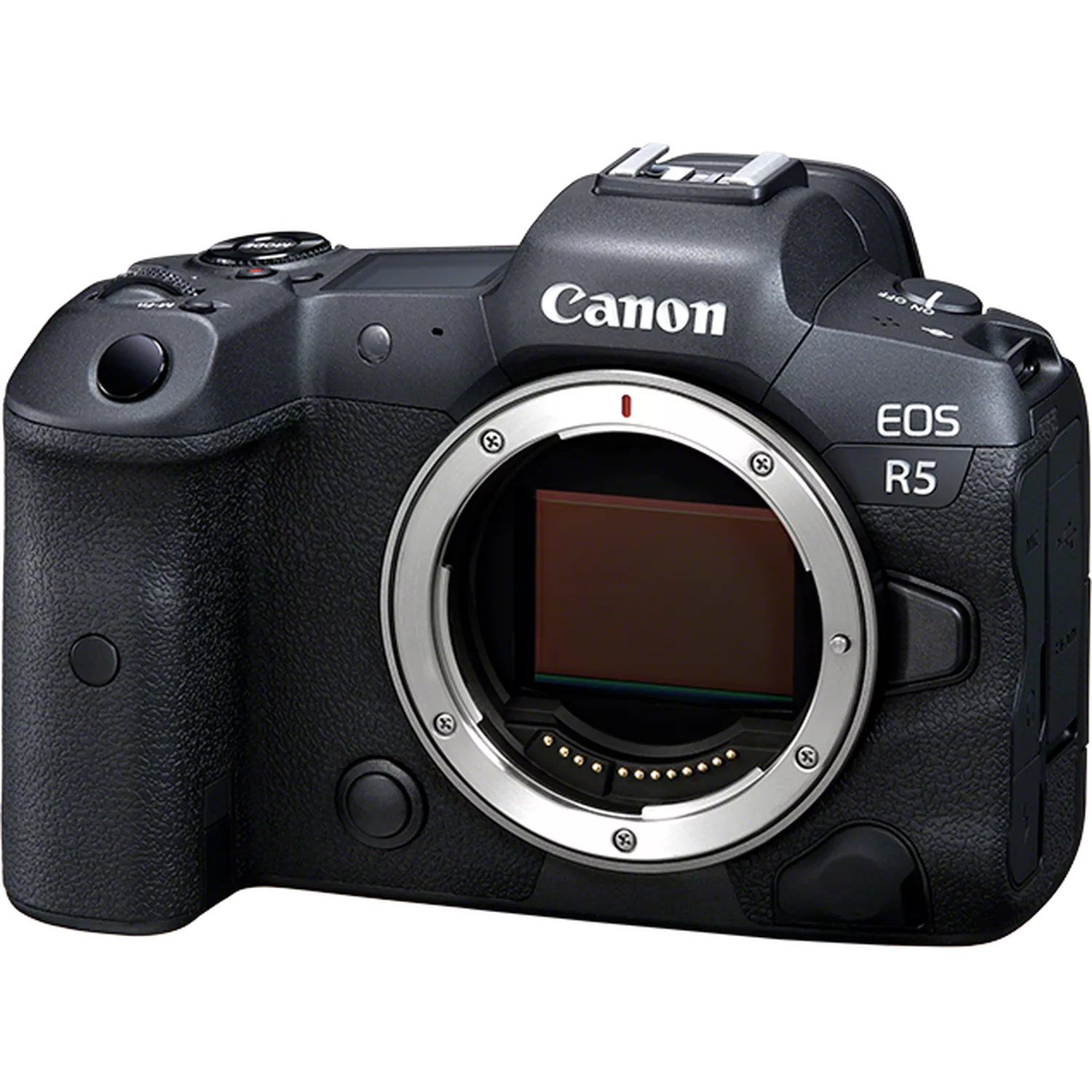 Canon EOS R5 + RF 24-105mm F4 L IS USM – image 7