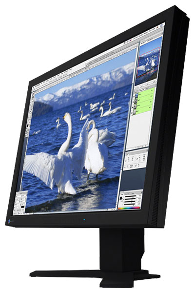 EIZO ColorEdge CG211-BK + DTP94 Colorimeter