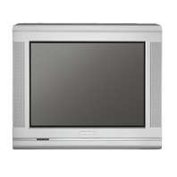 Philips 53 cm Real Flat TV met Digital Crystal Clear