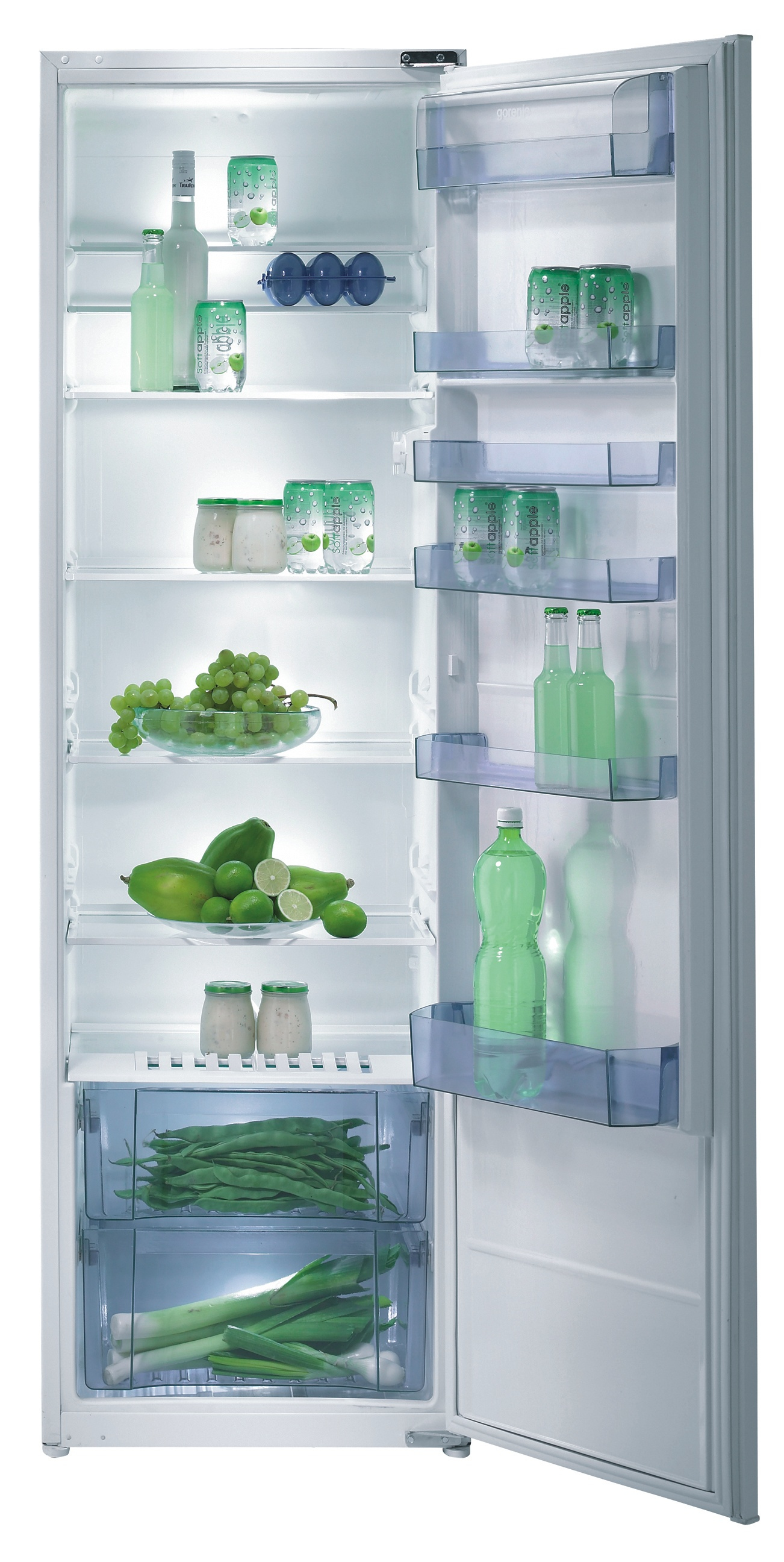 Gorenje RI41325 fridge Built-in
