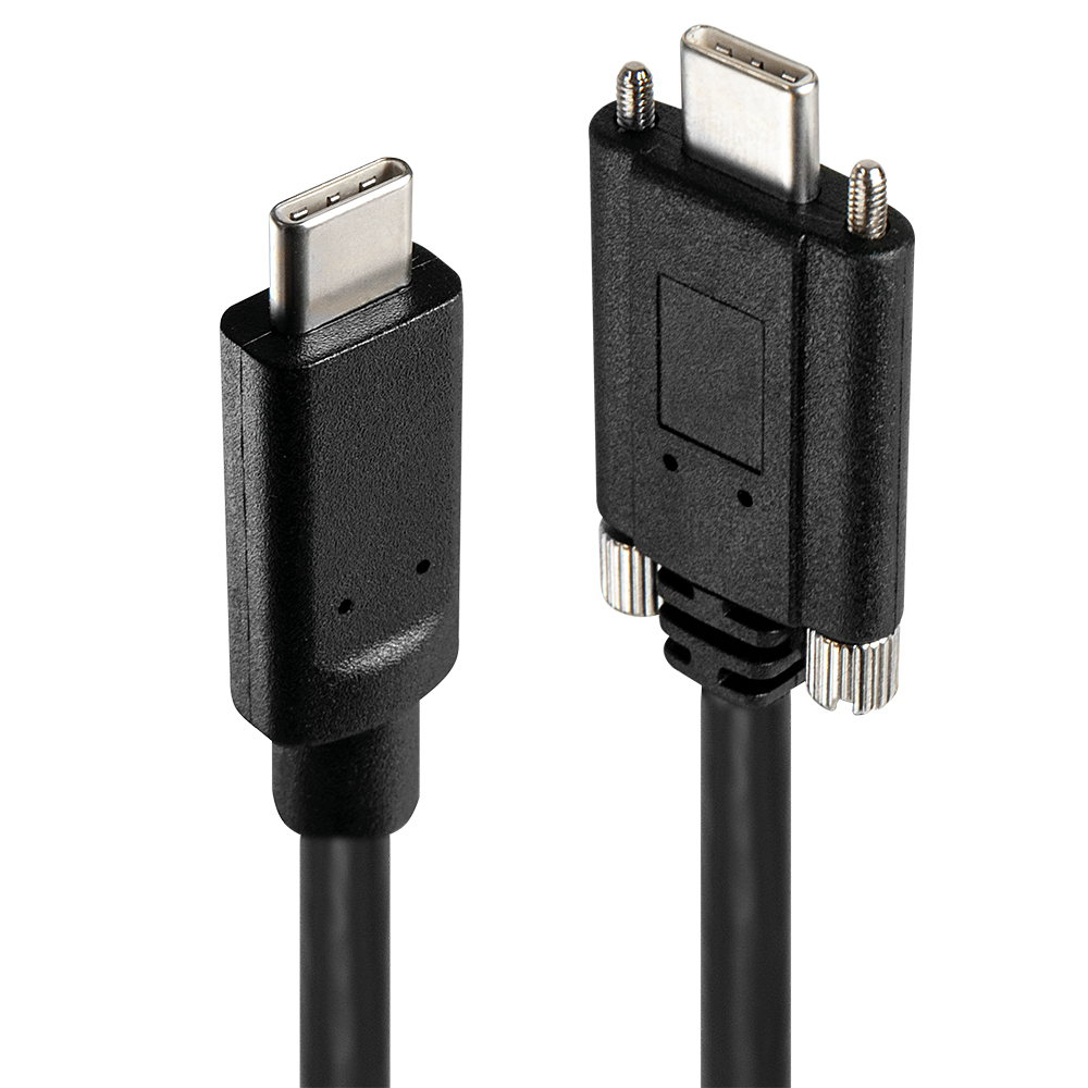 Lindy 4 Port USB 3.2 Gen 2 Type C Metal Hub – image 4