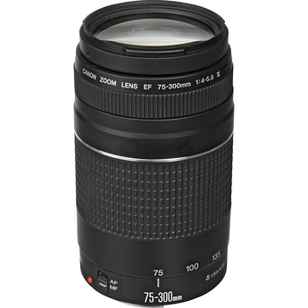 Canon EF 75-300mm f/4.0-5.6 III – image 3