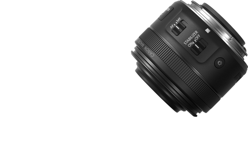 Canon EF-S 35mm f/2.8 Macro IS STM – image 2