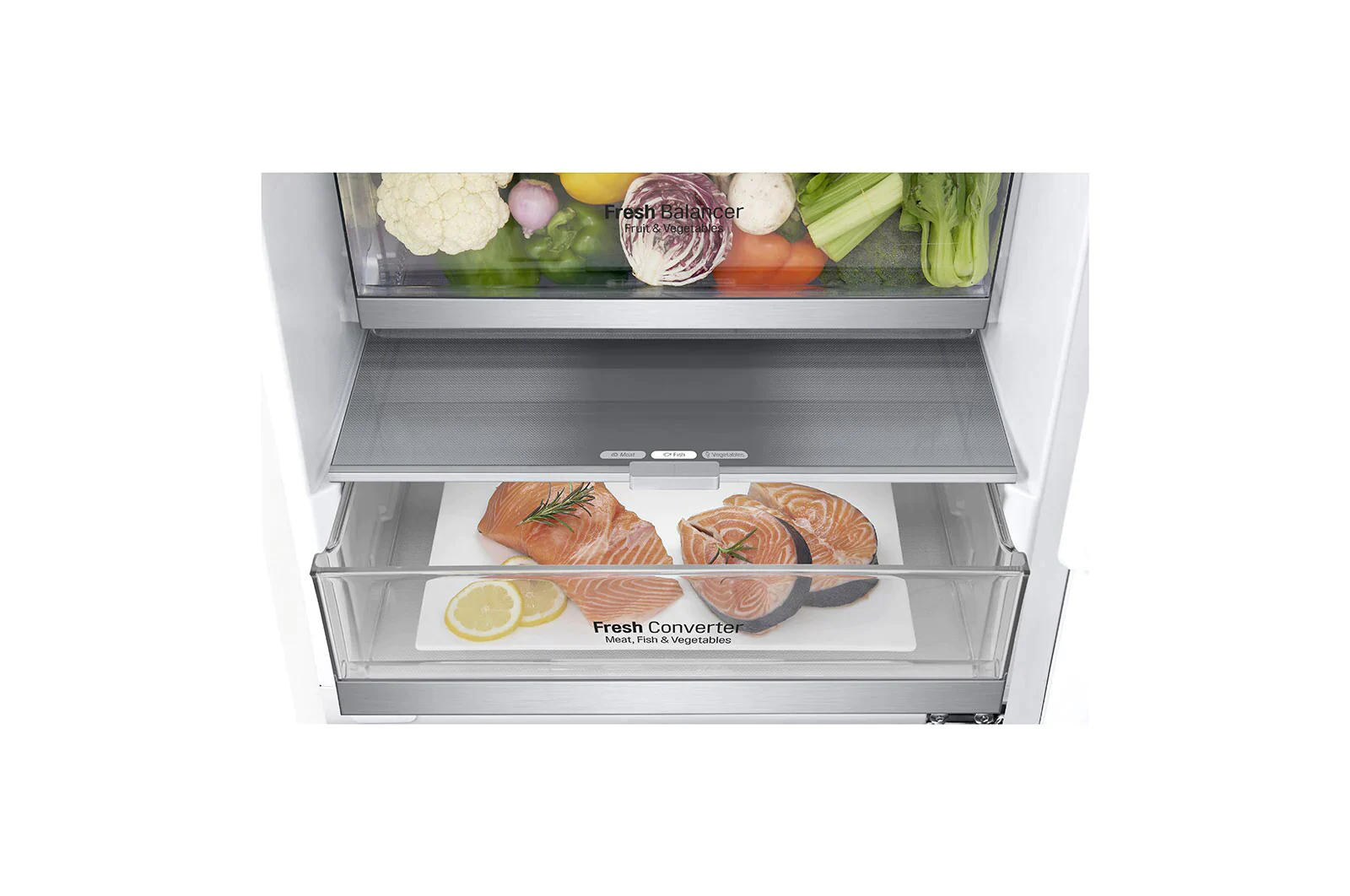 LG GBB72SWDMN fridge-freezer Freestanding – image 5