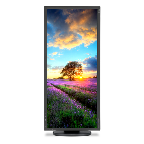 NEC EA294WMI-BK computer monitor – image 5