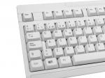 NGS Cute White – image 4