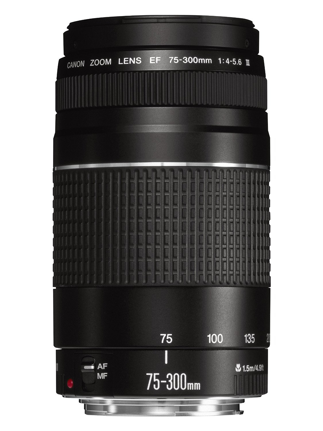 Canon Rebel T6 + EF-S 18-55mm + EF 75-300mm – image 5