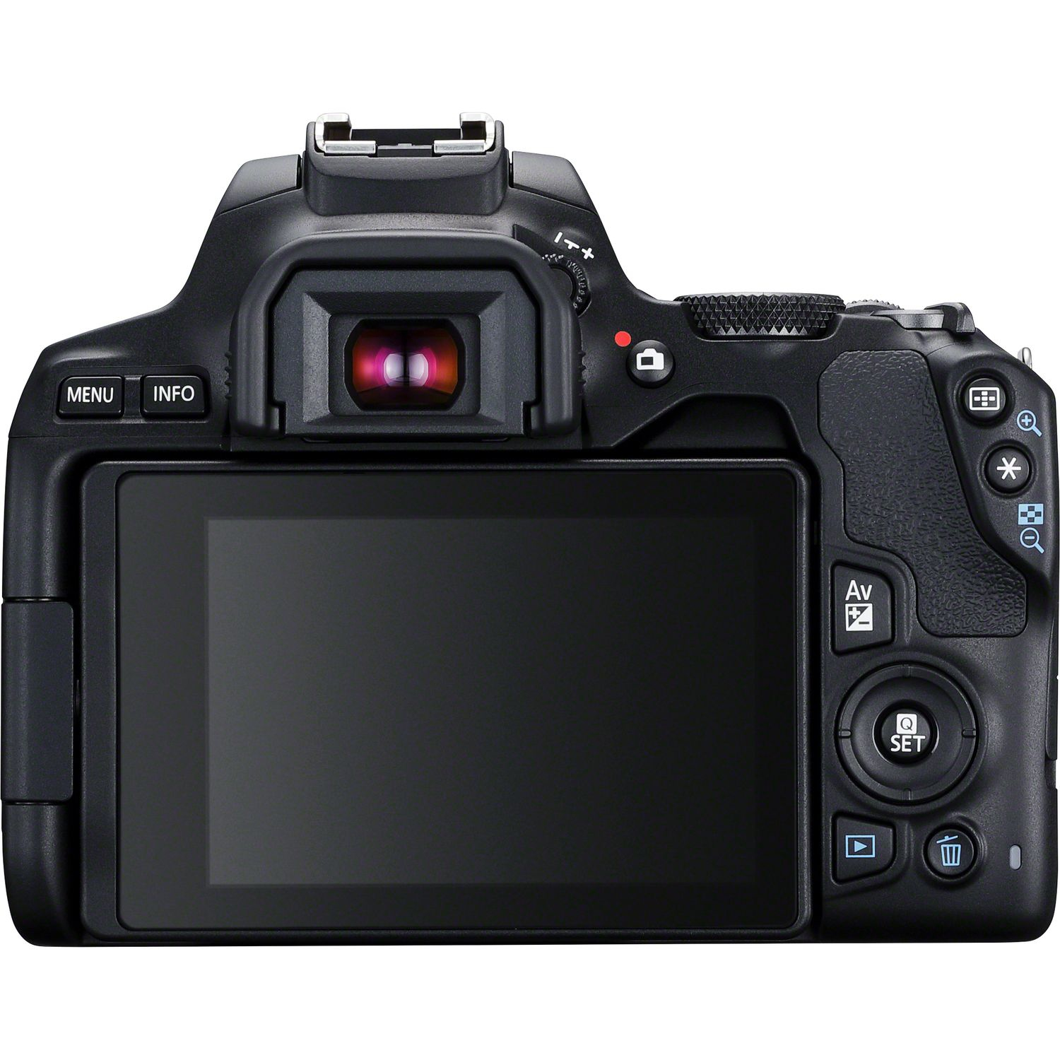 Canon 250D + EF-S 18-55mm f/3.5-5.6 III + SB130 – image 6