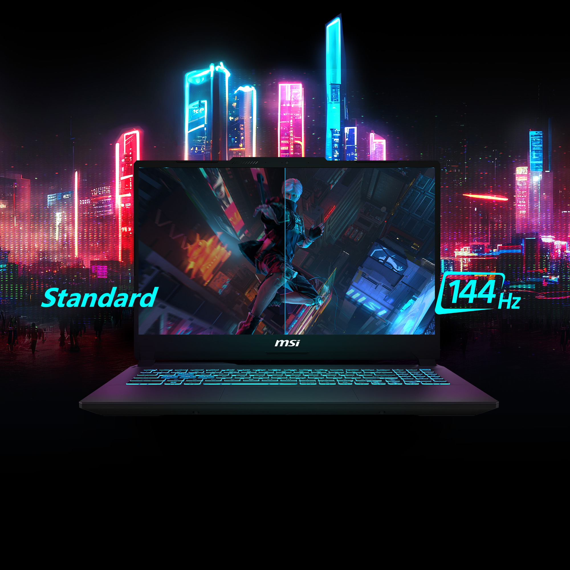 Product Gallery