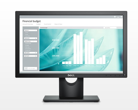 Dell 3650 + E1916H – image 4