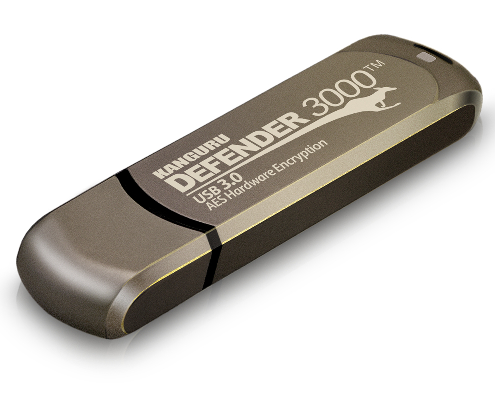iStorage Defender 3000 – image 4