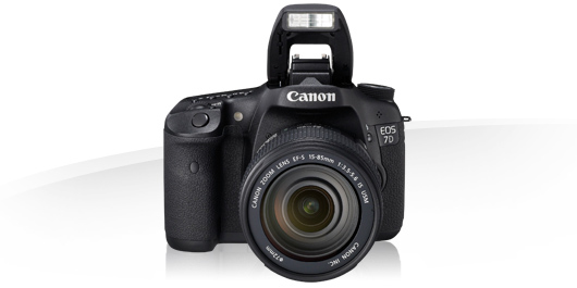Canon EOS 7D + EF 15-85 + EF 70-300 IS – image 3