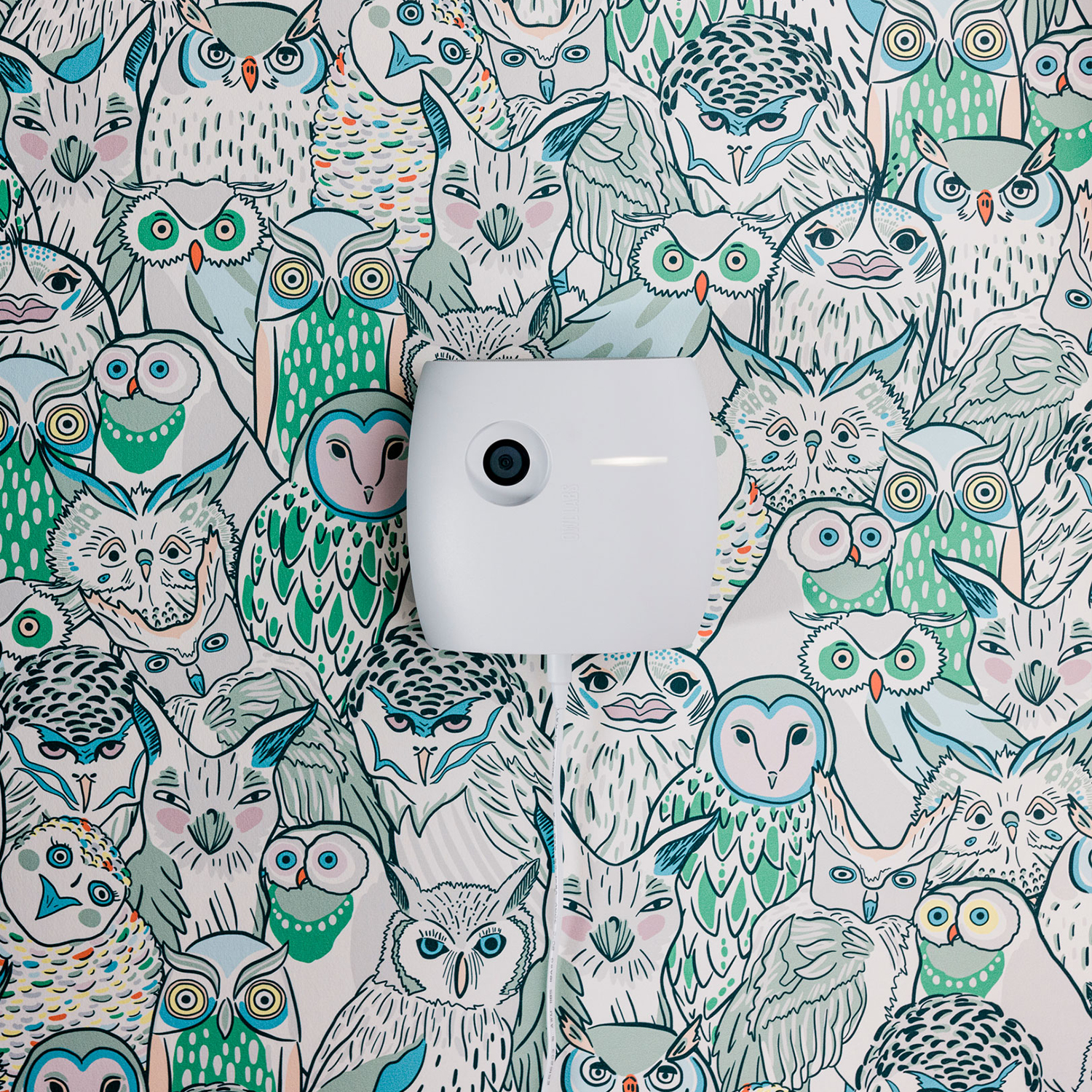 Owl Labs Meeting Owl 3 + Whiteboard Owl – image 4