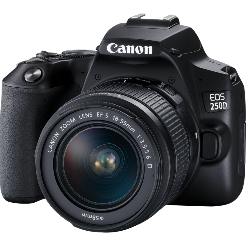 Canon 250D + EF-S 18-55mm f/3.5-5.6 III + EF 75-300mm f/4-5.6 III – image 3