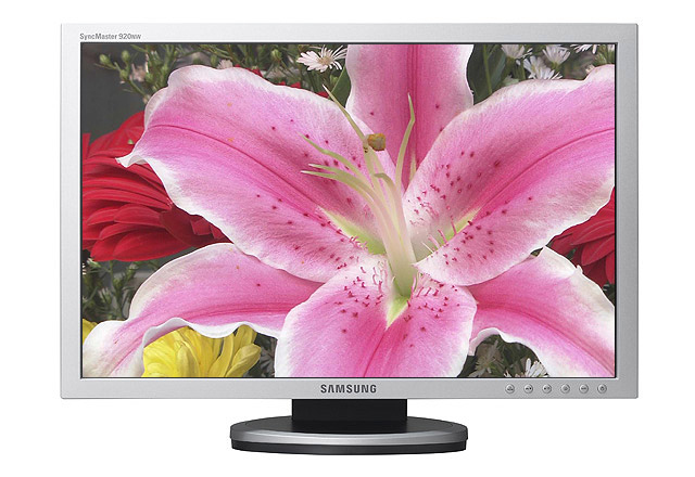 Samsung 19" LCD monitor, 1440 x 900