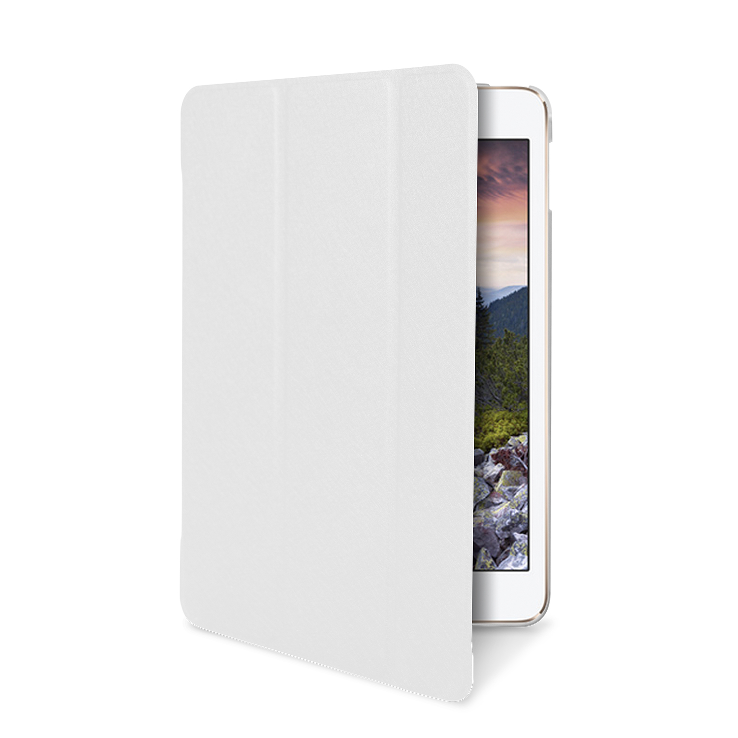 Area CSTA7014FTW tablet case
