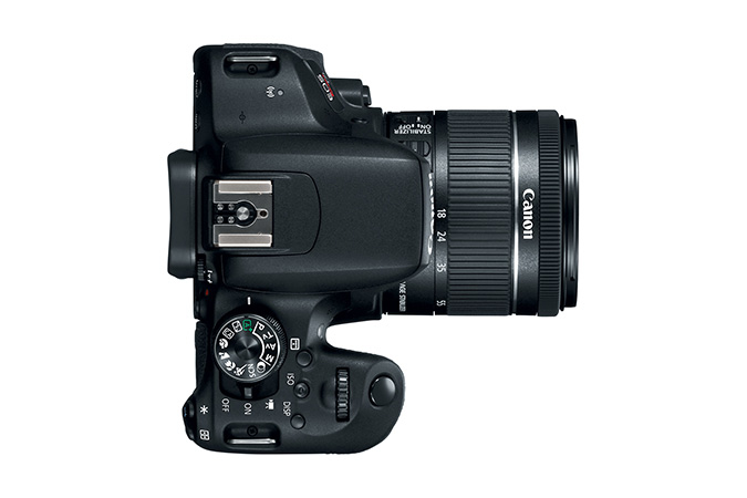 Canon EOS Rebel T7i + EF-S 18-55 IS STM – image 8