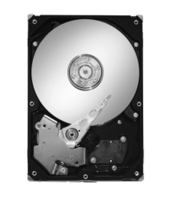 Seagate Barracuda ES 500GB, 7200rpm, SATA-II, 10pk