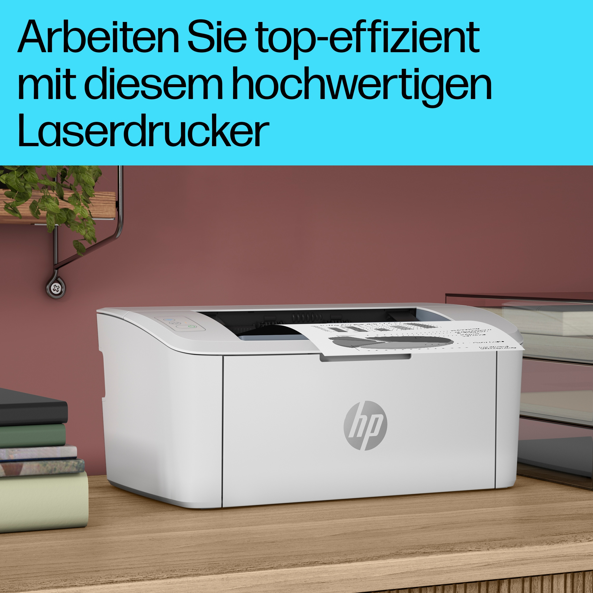 Bild 19