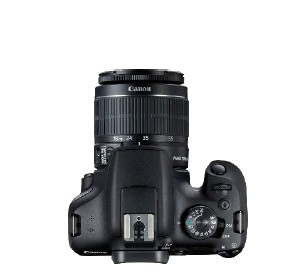 Product Gallery