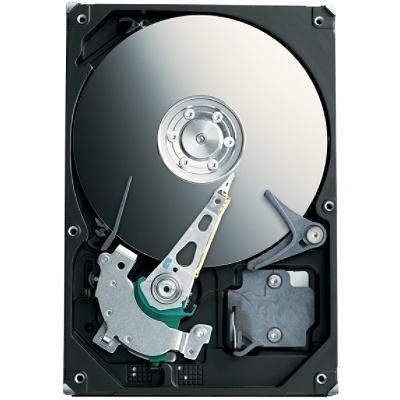 Seagate Barracuda 7200.10 750GB ATA100