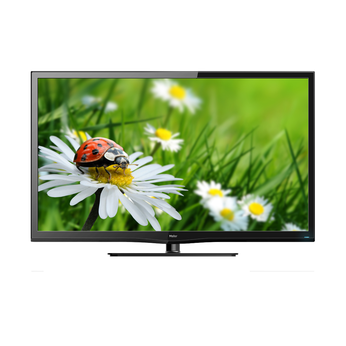 Haier T1000H 32" — vue 1 sur 4