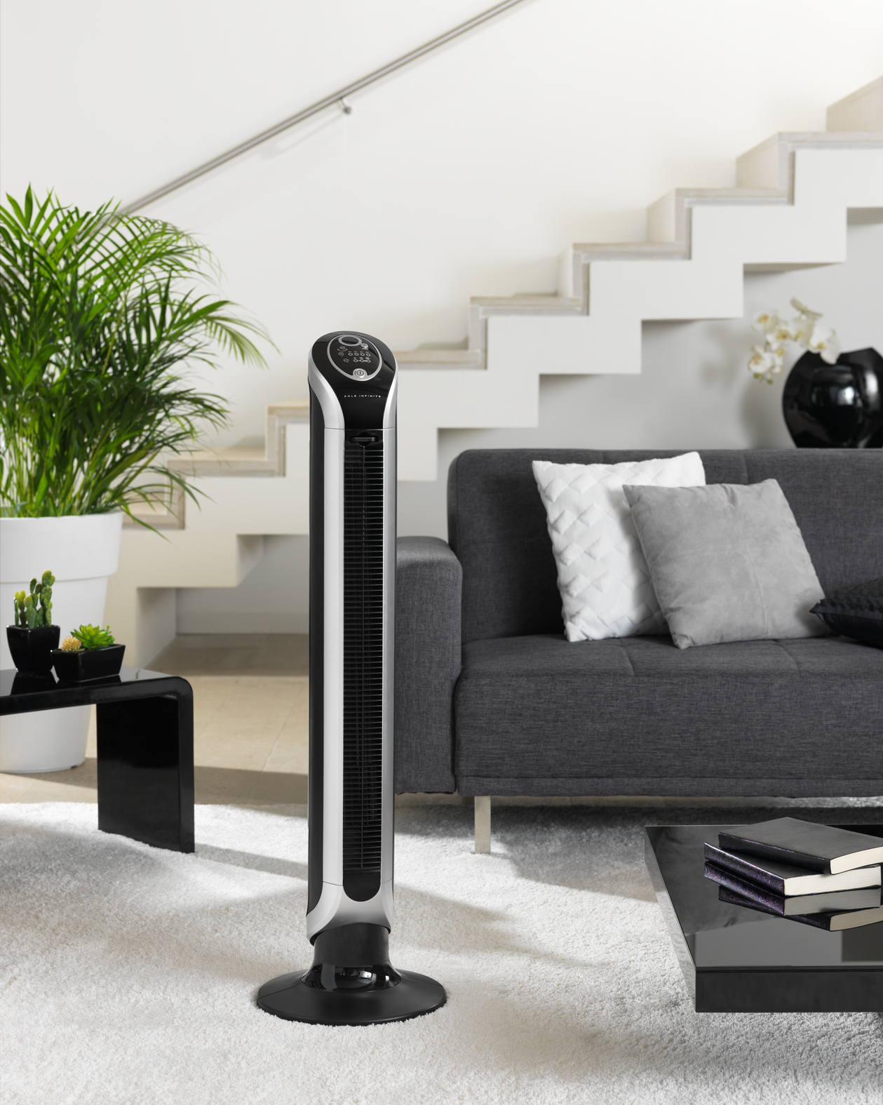 Rowenta Eole VU6620 Black, Silver – image 8