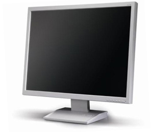 Acer V173Bw computer monitor