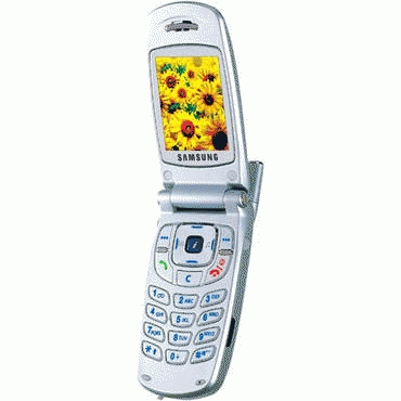 Samsung S500 80 g Silver – image 2