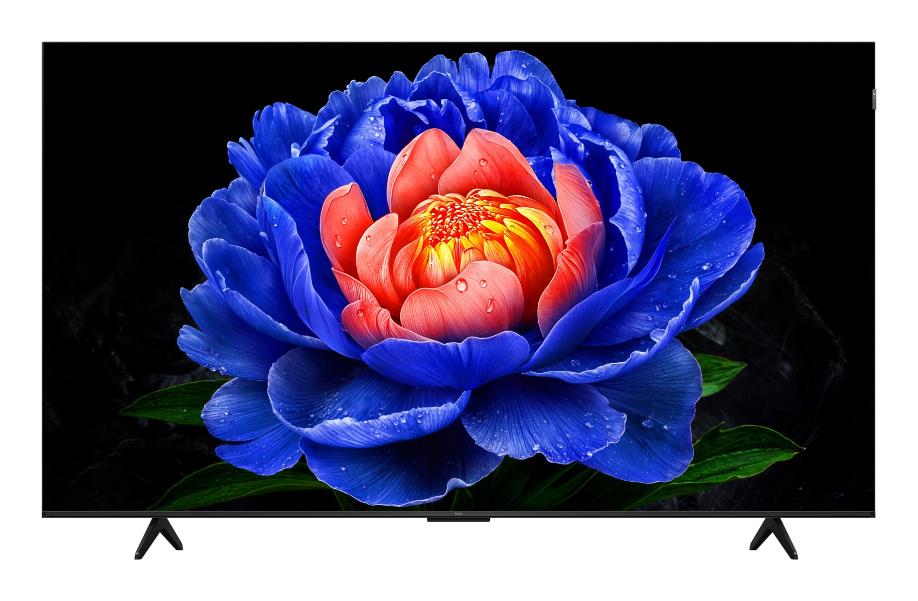 TCL T6D Premium QLED TV – image 2