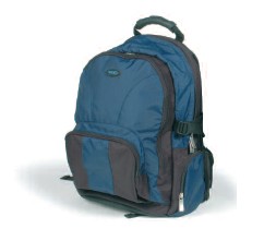 NEC Backpack 39.1 cm (15.4") Backpack case Blue