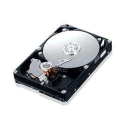 Samsung 334GB HDD