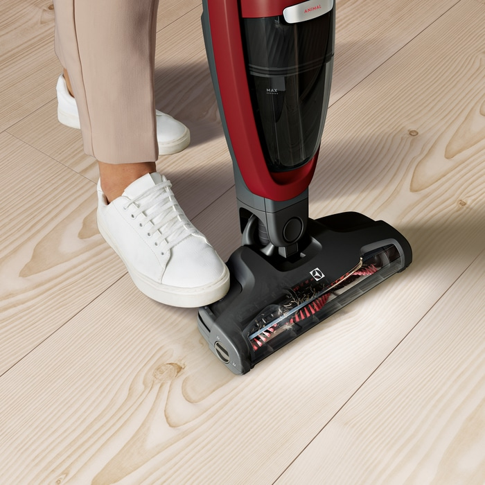 Electrolux WQ61-ANIMA 2-in-1 stick vacuum Battery Dry Cyclonic Bagless – image 4