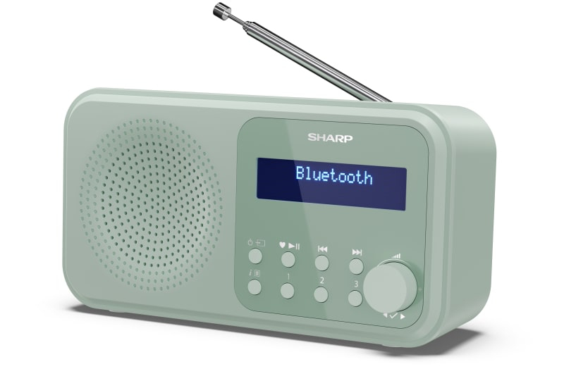 Sharp DR-P420 Portable Digital Green
