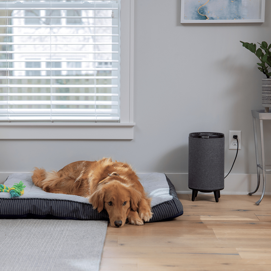 Bissell 3172N air purifier 40.4 m² – image 2