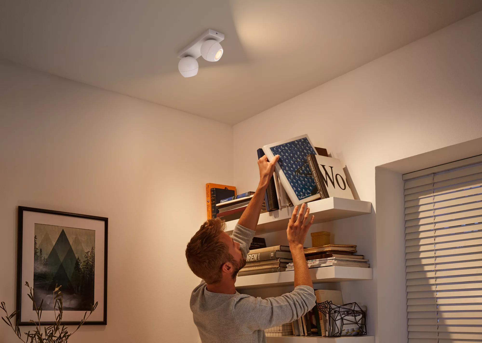 Philips by Signify Philips Hue White ambience Buckram double spotlight – image 3
