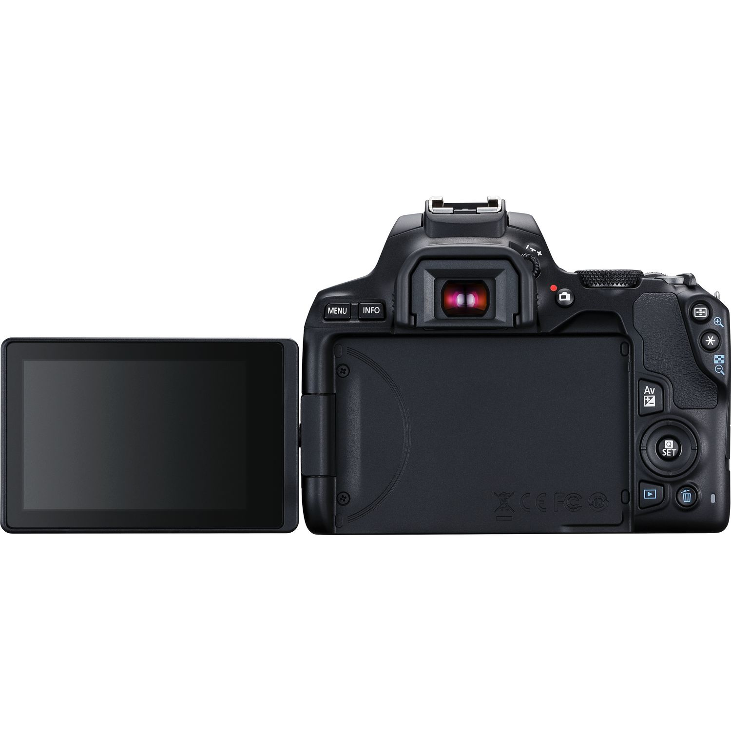 Canon 250D + EF-S 18-55mm f/3.5-5.6 III + SB130 – image 7