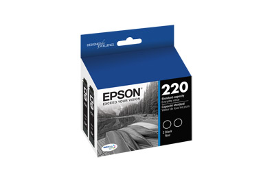 Epson T220120-D2 ink cartridge 2 pc(s) Original Black