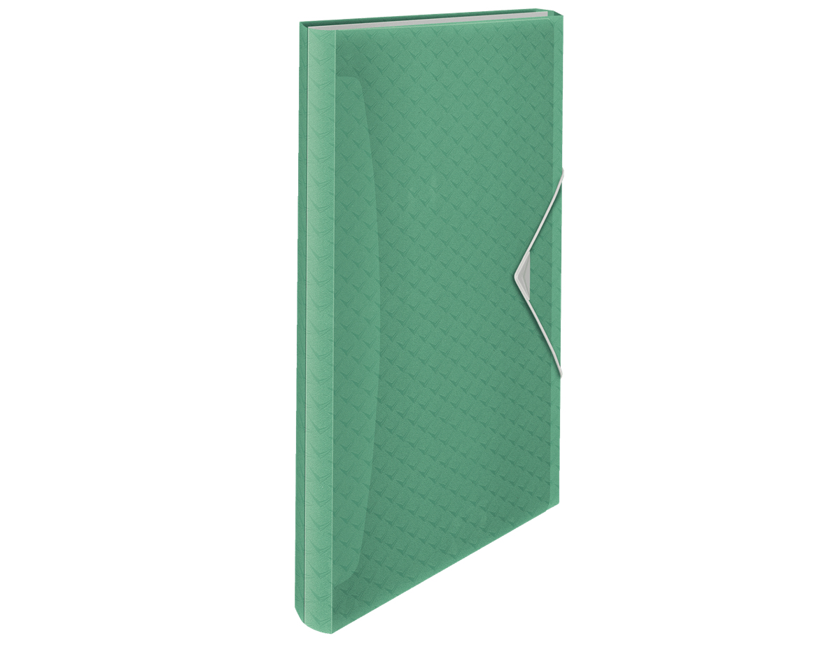 Esselte 626253 carpeta Polipropileno (PP) Verde