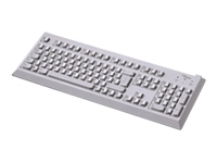 Fujitsu Keyboard/KBPC SX USB/PS2 ES