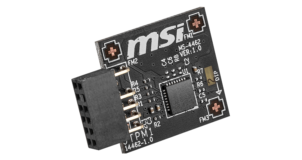 TPM 2.0 (MS-4462)
