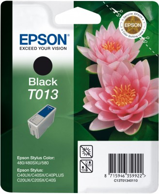 Epson Singlepack Black T013 – image 1