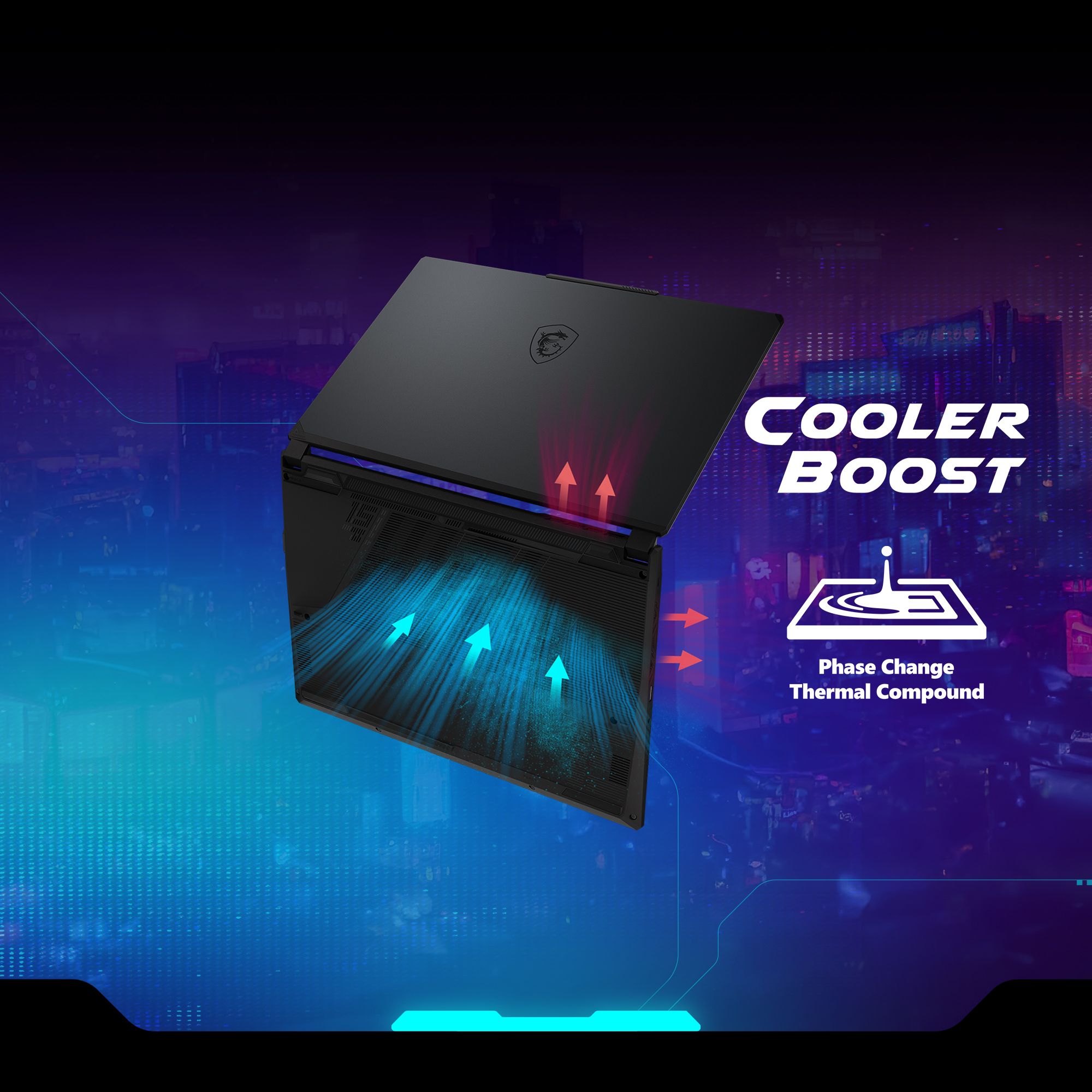 Product Gallery