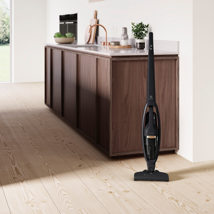 Electrolux WQ61-42GG 2-in-1 stick vacuum Battery Dry Bagless – image 2
