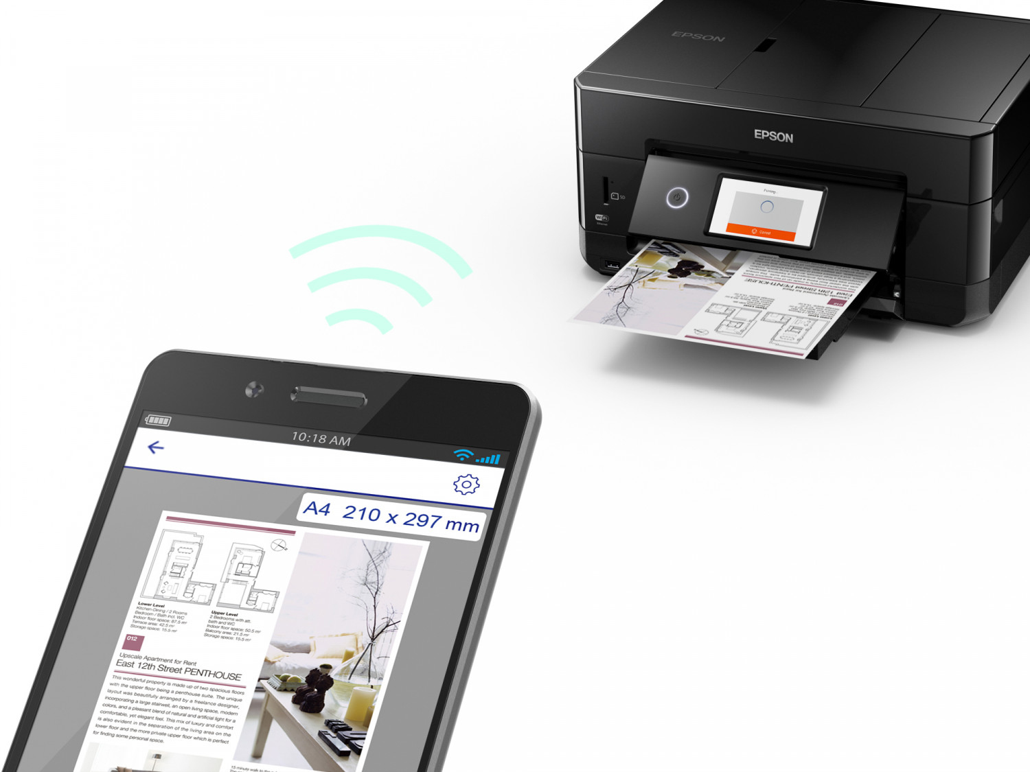 Product Gallery